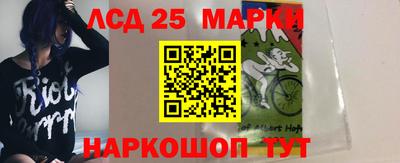 прущие грибы Заволжье