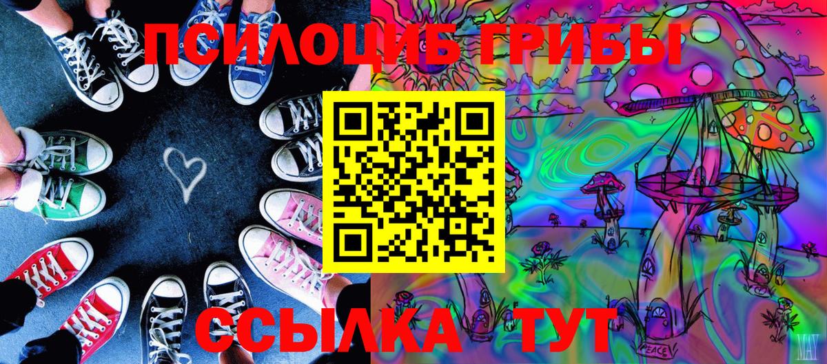 Псилоцибиновые грибы GOLDEN TEACHER  Вход с VPN  Мичуринск 